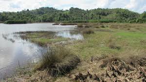 Kempen cinta akan sungai kita. Umum Hasil Siasatan Punca Pencemaran Sungai Dan Tasik Di Pahang Sam Sahabat Alam Malaysia
