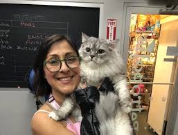 Maybe you would like to learn more about one of these? Holistic Pet Shops Ride The Pandemic Pet Gravy Train Bedford Bowery