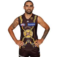 Designed by corrina eccles, a traditional owner of wadawurrung country, the guernsey represents a local story and incorporates a number of meaningful landmarks across the barwon region. 2021 Hawthorn Mens Indigenous Guernsey City Sports F1
