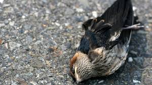 Image result for unexplained events