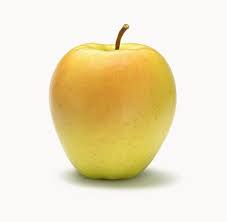 Golden delicious apples (malus domestica 'golden delicious') are a cousin of the red delicious, featuring a milder taste, most often used for baking and in cold dishes and desserts. Organic Golden Delicious Apples Biosudtirol Bio Apples From South Tyrol
