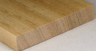 Image result for Albizia adianthifolia