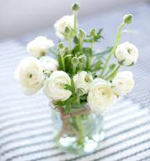 Pink flowers are perfect for everyone from your girlfriend to mom or daughter, and look beautiful in any garden. 30 Types Of White Flowers With Names Pictures