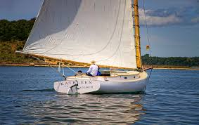 Résultat de recherche d'images pour "cat boat"