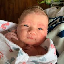 Tyler Base (@ty_base) • Instagram photos and videos