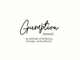 Gumption Audacity Boldness Courage Word Definitions Words To Describe Someone One Word Quotes