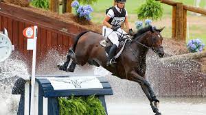 We trace the branches of your family that have emigrated to argentina obtaining information and documents from several sources such as voter lists, social security indexes, inheritance sucessions, birth/marriage/death records, immigration records, burial records, court documents for naturalization, old. Mit Chipmunk Bekommt Michael Jung Eine Olympia Hoffnung In Den Stall Eurosport