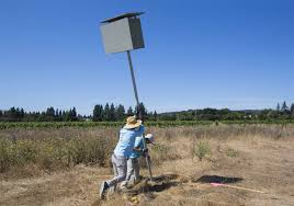 Epcec eddinger's pest control educational center was established in 1992 by w. Barn Owls Are Killing Machines And Good For Pest Management In Vineyards