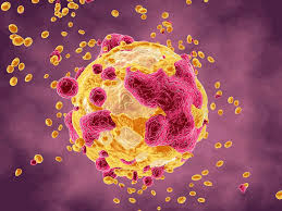 Cancer cells that survive death become more aggressive | BioWorld