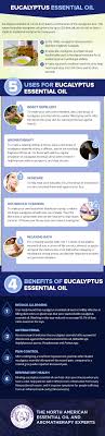 Eucalyptus Oil Uses And Benefits Around The Homestead