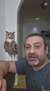 Lily owl 🦉 Important to know #london_shery