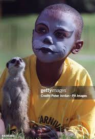 1,694 Peter Sylvester Stock Photos, High-Res Pictures, and Images