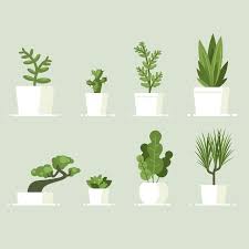These 20 indoor flowering plants, from gardenias to geraniums, are the easiest flowers to grow indoors if you pay attention to watering and access to sunlight. Best Indoor Plants And How To Care For Them