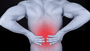 It runs from the hip bone to the tibia, or shinbone, on the outside of. Tip Fix Your Anterior Pelvic Tilt Feel Awesome T Nation