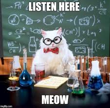 RÃ©sultat de recherche d'images pour "listen cat meme"