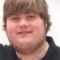 Stephen Sternberg Obituary