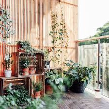 When choosing balcony planters, you need to take into consideration the available space. 15 Best Balcony Plants Apartment Balcony Plant Ideas