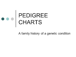 A Family History Of A Genetic Condition Ppt Video Online