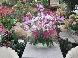 Featured on site, the compass rose bar has a selection of coffee, tea, and evening cocktails while the florida cookery serves breakfast outdoors. Floralemporium Net 561 659 9888 Orchids Phalaeonopsis Florida West Palm Beach West Palm Beach Florida West Palm Palm Beach Florida