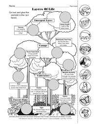 Science Worksheet Rain Forest Animals The Mailbox Rainforest Animals Rainforest Classroom Rainforest Project