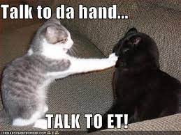 Pin By Cheyenne Sizemore On Funny Animals Funny Cat Pictures Funny Cats Funny Cat Memes