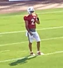 Er spielte college football für die pennsylvania state university und steht seit 2020 bei den las vegas raiders in der national football league unter vertrag. Nathan Peterman Wikipedia