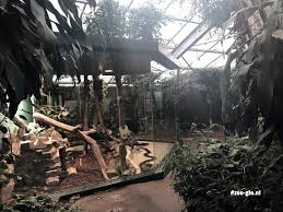 Maar goed, vraagt die man van de dealer ook nog, moet je nagaan wat een elitair merk het is: Zoo Gle Rhenen