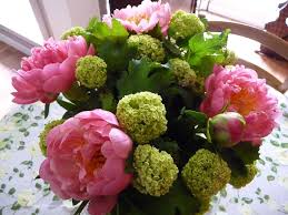 Bouquet De Pivoines Corail Et De Viorne Boule De Neige Chez Eveline Paris 14e 75 Viorne Boule De Neige Pivoines Corail Bouquet Pivoine