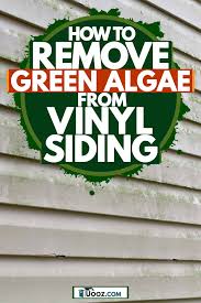 In the paper, a particular attention is put on the following question: How To Remove Green Algae From Vinyl Siding Uooz Com