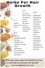 12 fl oz (pack of 1) 4.4 out of 5 stars 252. 37 Best Herbs For Natural Hair Growth Ayurvedic Hair Care Natural Remedies Ayurvedichaircarenatu In 2021 Herbs For Hair Herbs For Hair Growth Ayurvedic Hair Care