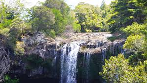 Rainbow Falls Kerikeri In 2020 Rainbow Falls Rainbow Falls State Park Rainbow Falls Hawaii