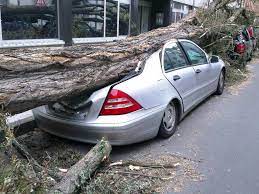 Bei akutwarnungen gilt das eintreffen der naturgefahr als gesichert. Unwetter Bilanz In Koln Sturm Friederike Richtete Viele Schaden An