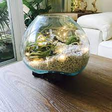 Check spelling or type a new query. Molten Glass On Driftwood Arrangement Super Fast Shipping Air Plants Terrarium Succulents Terrarium Flowers Vase Unique Centerpiece Gift Succulent Terrarium Succulent Terrarium Centerpiece Terrarium Centerpiece