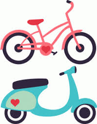 Pin On Bikes And Flowers