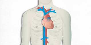 Chest pain can be caused by many diseases and condition, for example,angina, heart attack, shingles, pneumonia, pulmonary embolism, pericarditis, gerd while each cause of chest pain has classic symptoms and signs, there are enough variations in symptoms that it may take specific testing to. What Is Chest Pain Hospital Clinic Barcelona