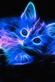 Gorgeous Light Manipulation Neon Cat Cute Cats Cats