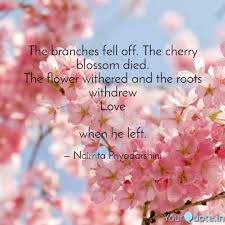 Open your home to nature's warm embrace with our cherry blossom fragrance. The Branches Fell Off Th Quotes Writings By Noirrita Priyadarshini Yourquote