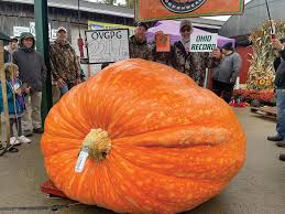 Image result for giant pumpkin
