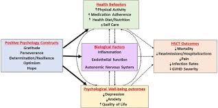 Positive Psychological Constructs And Health Outcomes In Hematopoietic Stem Cell Transplantation Patients A Systematic Review Sciencedirect
