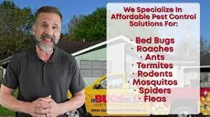 Get directions, reviews and information for bugs r us pest service inc in levittown, ny. Pest Control And Exterminator For Texas It S Bugs Or Us Pest Control