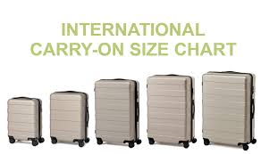 international carry on size guide for luggage delta