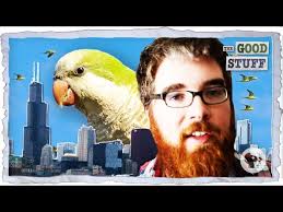 These Birds Shouldn't Be Alive