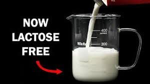 The soya formula available are isomil,. Making Milk Lactose Free Youtube