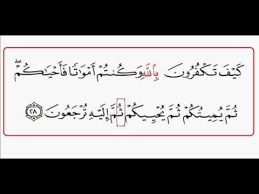 Ayat 28 Sourate Al Baqara By Myriam Lilou سورة البقرة كاملة للشيخ عبدالرحمن السديس امام الحرم المكي sourat al baqara by al sudais. ayat 28 sourate al baqara by myriam lilou