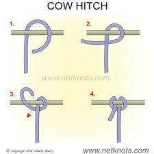 • ensure the weight bag corresponds with medical orders. Traction For Paediatric Orthopaedic Patients At Starship