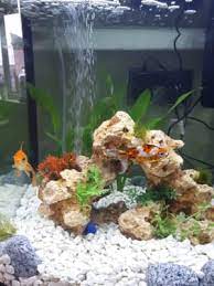 Discover the best aquarium gravel in best sellers. Natural Aquarium Pebbles 8kg Pets At Home