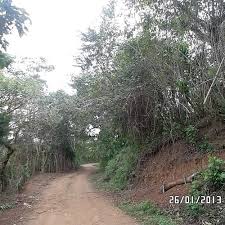 Check spelling or type a new query. Top 8 Things To Do In Danli El Paraiso Department