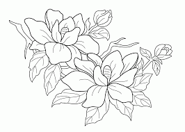 There is a big upsurge in coloring books especially for adults within the last few 6 or 7 years. Coloring Book Pages Flowers Coloring Pages Coloring Pages For Kids Coloring Home