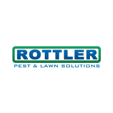Louis exterminator can solve them for you! 23 Best St Louis Pest Control Companies Expertise Com