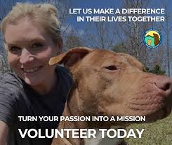 Walker County Animal Shelter